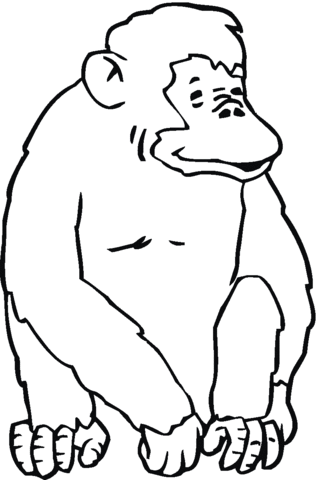 Chimpanzee Sits Coloring Page